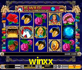 winxx Rio de Janeiro - Professional Dealers